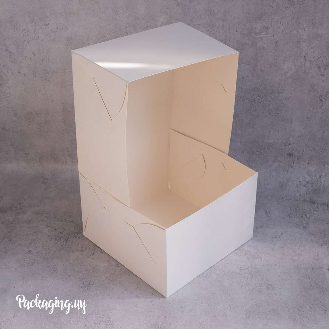 Caja P/ Tortas o Postres 22,8 x 22,8 x 15 cm (alta)